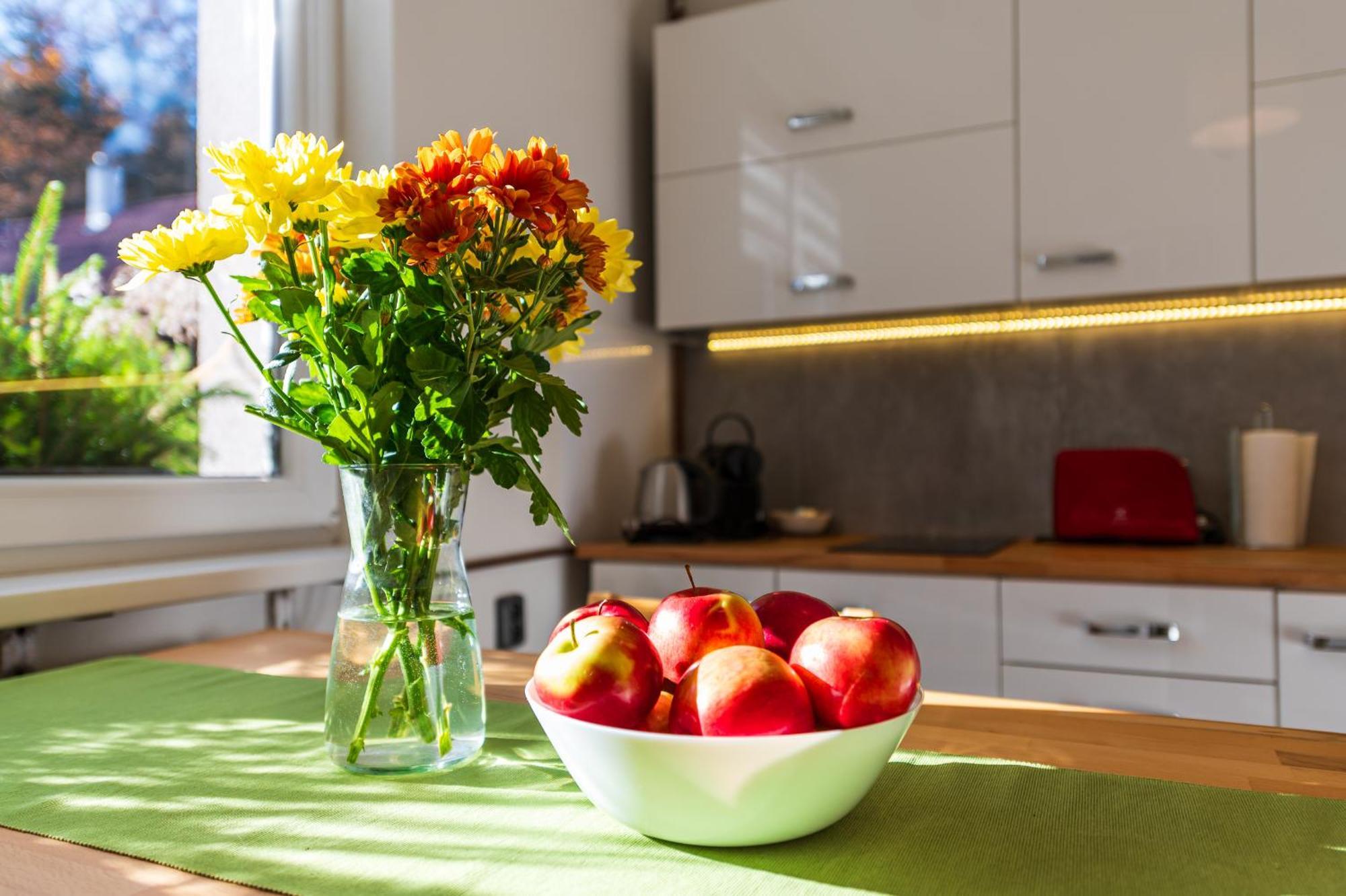 Ubytování na samotě - Apartmán U Tesařů Komarice Esterno foto